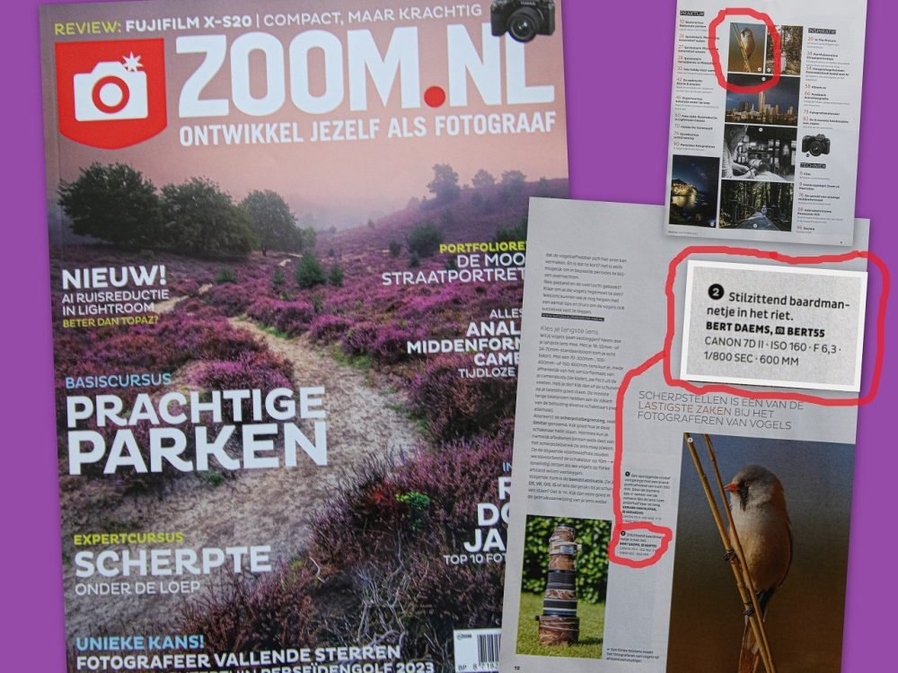 365262847_6852914318060278_5763834173994610908_n